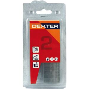 DEXTER Chiodino  DX-BRAD L 2 mm H 3 cm 1000 pezzi