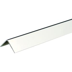 ARCANSAS Profilo angolare simmetrico  in inox argento lucido L 2 m 20x20 mm