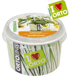 VERDEMAX Ortolino Salvia