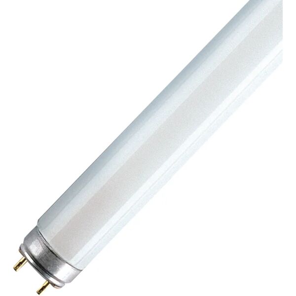 osram tubo luminoso l3641sb, luce calda, 36w=1lm 160° ,