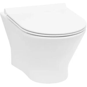 Vaso wc filomuro a terra ceramica Roca Mod. Debba, Arcshop