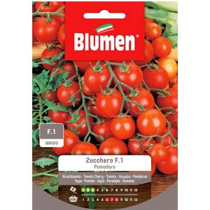 BLUMEN Semi Pomodoro Zucchero F1