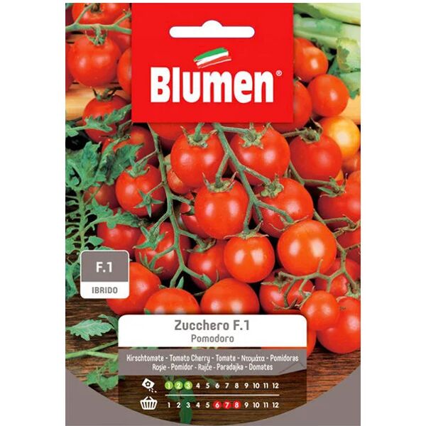 blumen semi pomodoro zucchero f1