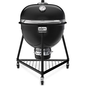 Weber Kamado a carbonella Summit E6