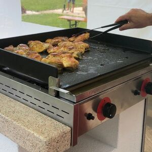 EASY GARDEN BY PALAZZETTI Grill a gas  a gas da appoggio Pro60 2 bruciatori