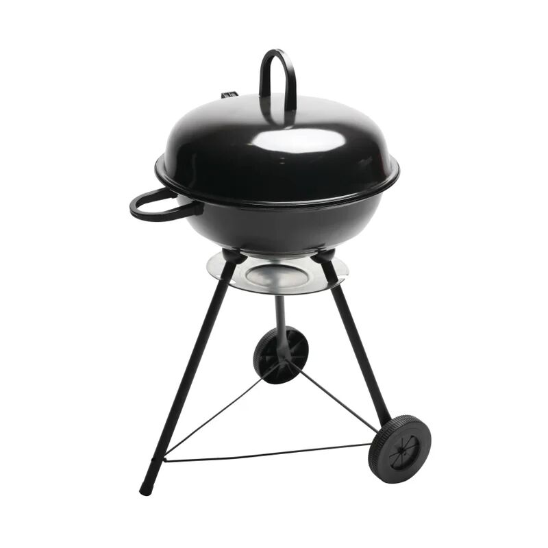 leroy merlin barbecue a carbonella pegaso