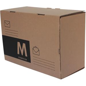 PACK AND MOVE Scatola di cartone per spedizione 1 onda H 32 x L 15 x P 21 cm