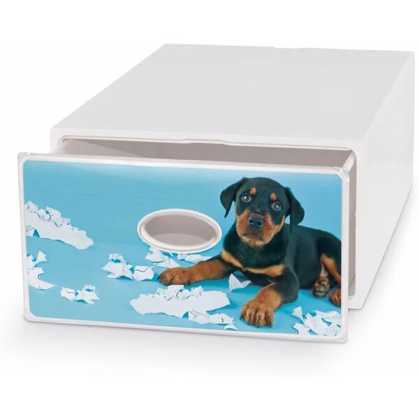 leroy merlin cassetto singolo pets qbox l 28 x  h 15 x  p 40 cm  bianco e blu