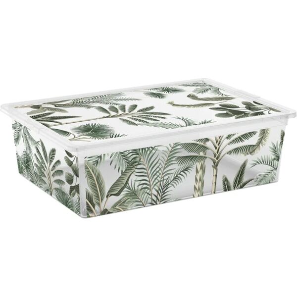 curver organizer jungle l 55 x h 16.5 x p 38.5 cm trasparente con decoro