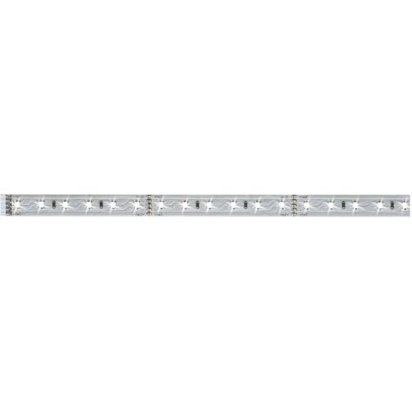 paulmann striscia led 1m luce bianco freddo 550lm