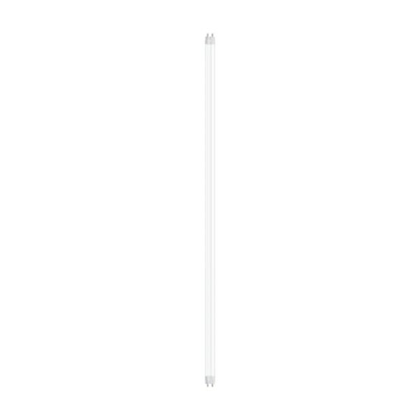 osram tubo luminoso led 1100 lm bianco freddo luce naturale l 60 cm