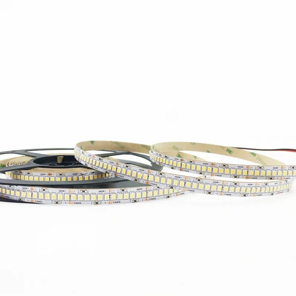 intec striscia 240 led 2835 dc24v 24w/m. 3000k (luce calda) 5 mt.