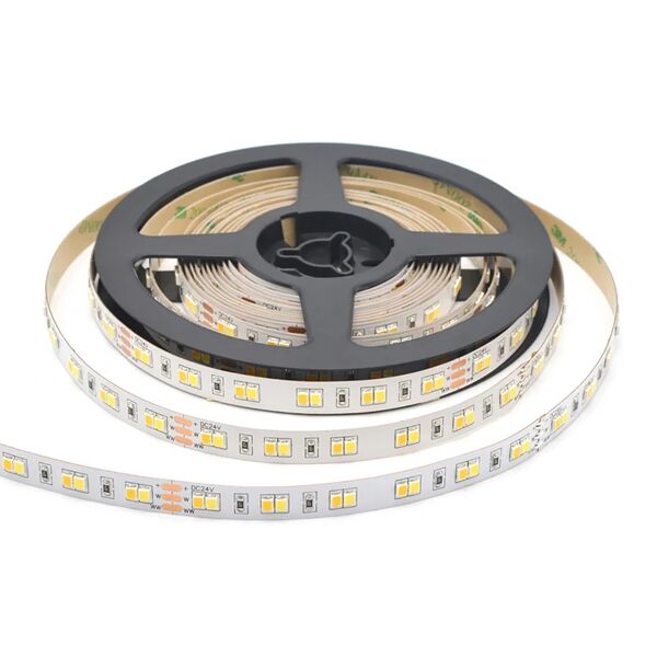 intec striscia 120 led 2835 dc24v 24w/m con cct 5 mt.