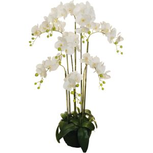 Leroy Merlin Pianta artificiale senza vaso Orchidea in Real Touch H 125