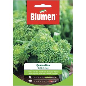 BLUMEN Seme per orto Cima Di Rapa Quarantina