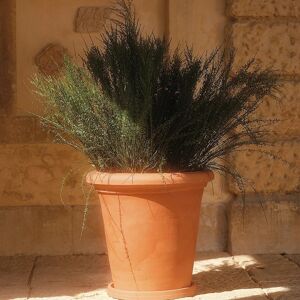 EURO3PLAST Vaso per piante e fiori Camelie liscio  in polietilene H 62 cm Ø 58 cm