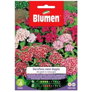 BLUMEN Semi Garofano Poeti nano doppio mix