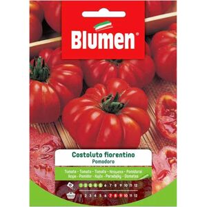 BLUMEN Semi Pomodoro Costoluto Fiorentino