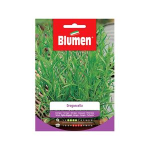 BLUMEN Semi Dragoncello