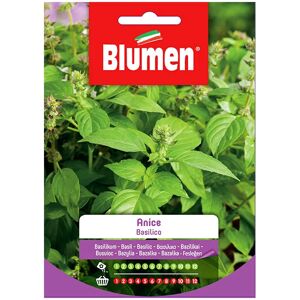 BLUMEN Semi Basilico Anice