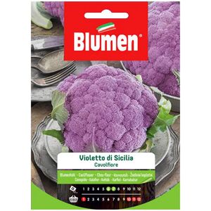 BLUMEN Semi Cavolfiore Violetto Sicilia