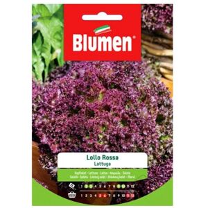 BLUMEN Semi Lattuga Lollo Rossa