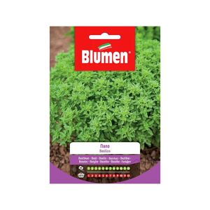 BLUMEN Semi Basilico Nano