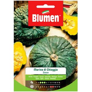 BLUMEN Semi Zucca Marina di Chioggia