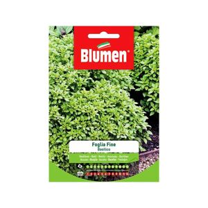 BLUMEN Semi Basilico Foglia Fine