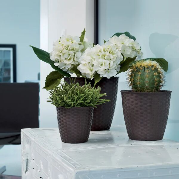 stefanplast vaso per piante e fiori natural  in polipropilene marrone h 22.2 cm l 24 x p 26 cm Ø 24 cm