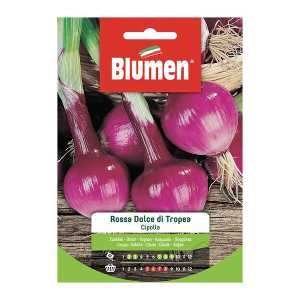 blumen seme per orto cipolla rossa dolce di tropea