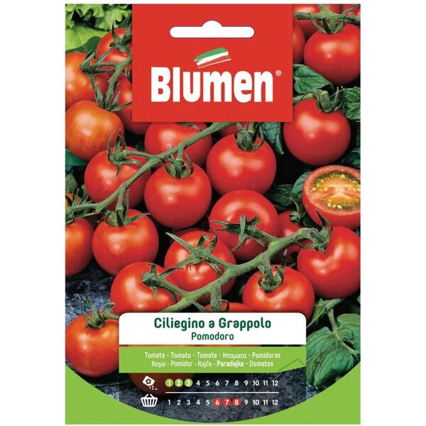 blumen seme per orto pomodoro ciliegia a grappolo