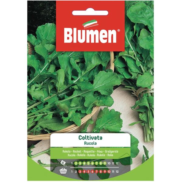 blumen seme per orto rucola coltivata