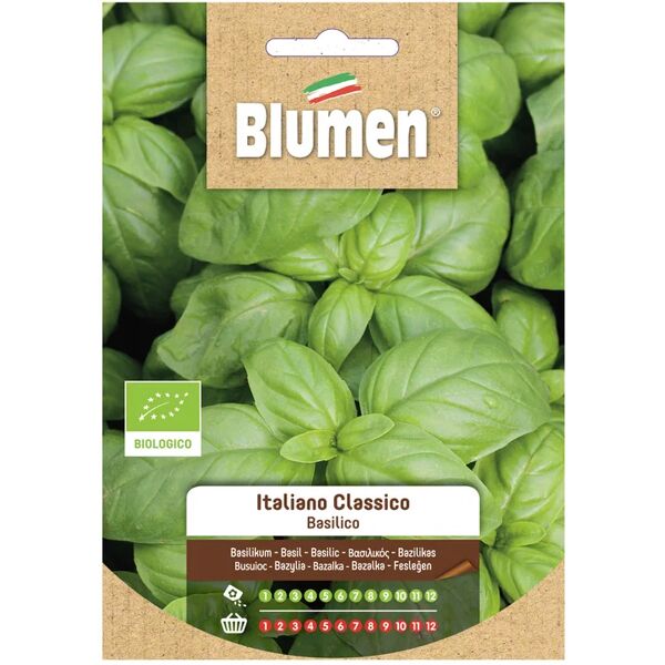 blumen seme per orto basilico italiano classico bio