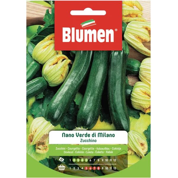 blumen seme per orto zucchino nano verde di milano