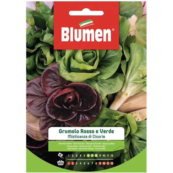 blumen seme per orto misticanza