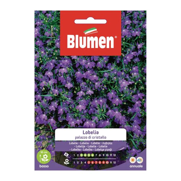 blumen seme fiore lobelia palazzo di cristallo