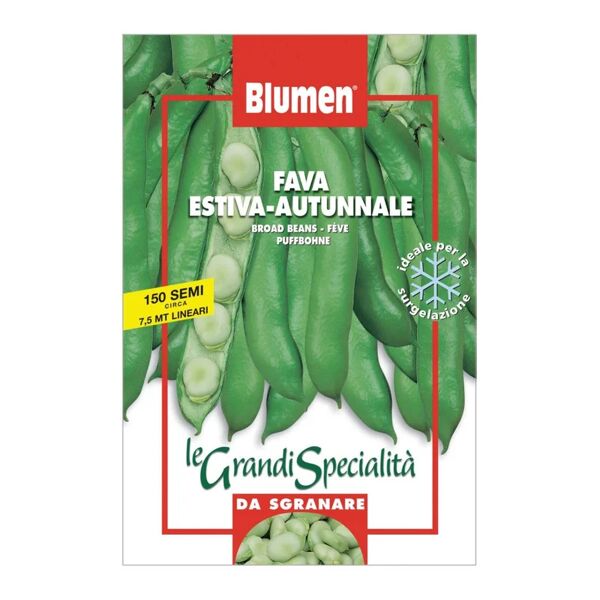 blumen seme per orto fava