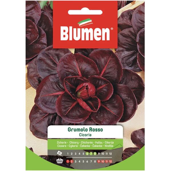 blumen seme per orto cicoria grumolo rosso