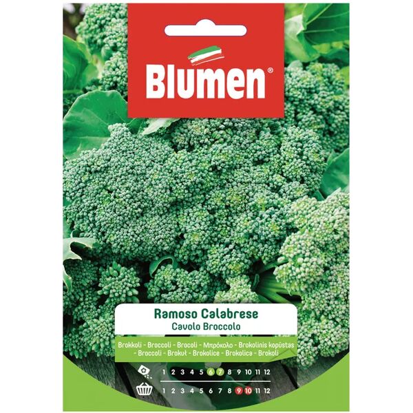 blumen seme per orto cavolo broccolo ramoso calabrese