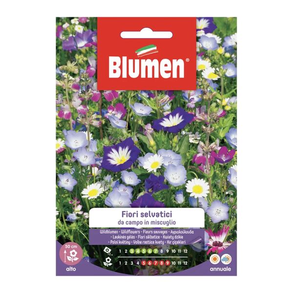 blumen seme fiore fiori selvatici da campo in miscuglio