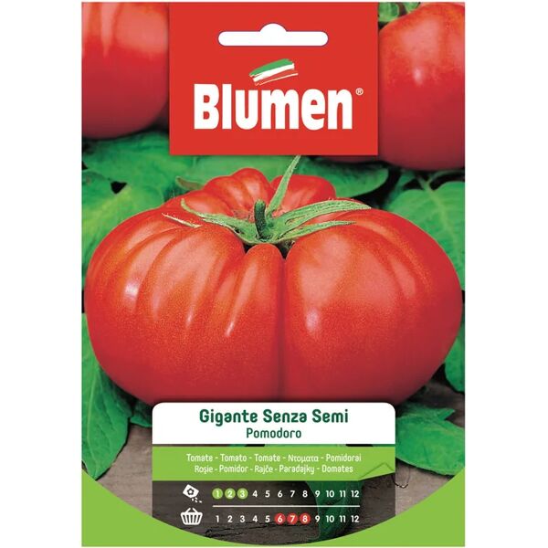 blumen seme per orto pomodoro gigante