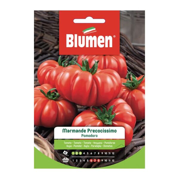 blumen seme per orto pomodoro marmande