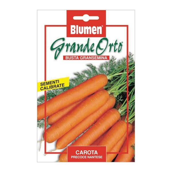 blumen seme per orto carota precoce nantese
