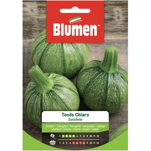 blumen seme per orto zucchino tondo chiaro