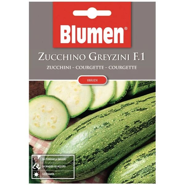 blumen seme per orto zucchino greyzini