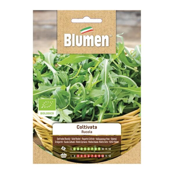 blumen seme per orto rucola