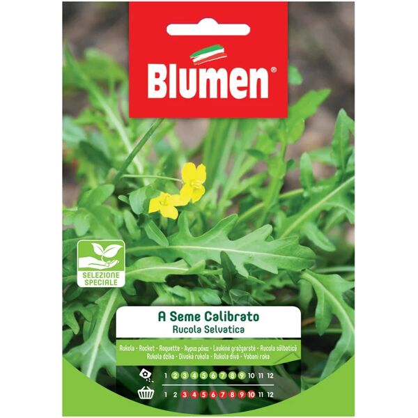 blumen seme per orto rucola selvatica