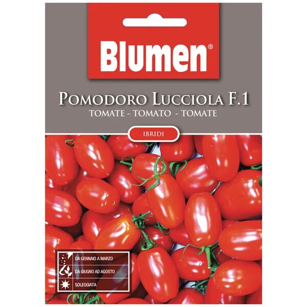 blumen seme per orto pomodoro lucciola