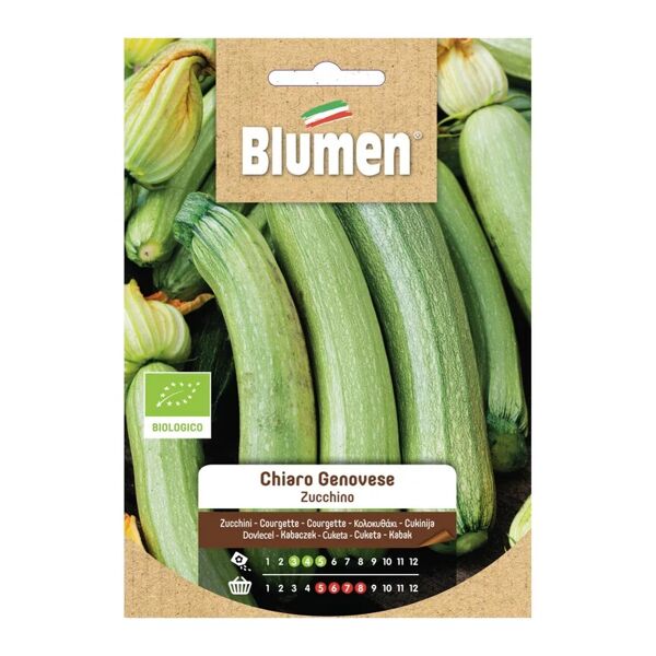 blumen seme per orto zucchini chiari